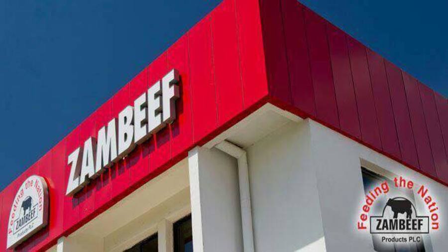 Biggest companies zambia