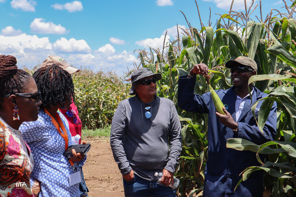 NGO agriculture jobs in Zambia